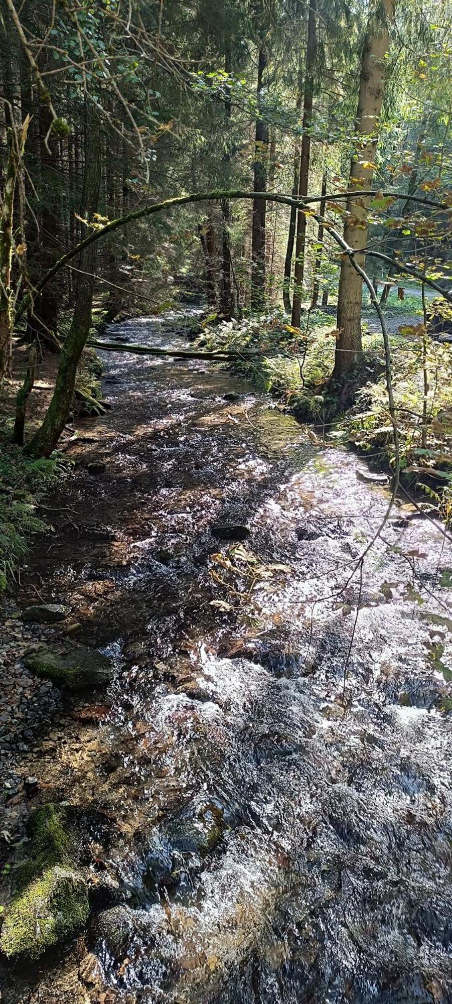 Appartement Bergzauber Scheibenberg Buitenkant foto